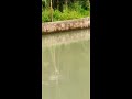 Nyoba spot unggulan || Mancing belut ||