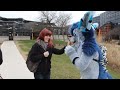 Fursuiting at my College...?