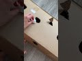 Funny kitten playing in a big box
