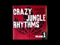 Crazy Jungle Rhythms Volume 1 (1998 Jungle and Drum & Bass)