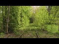 Walking Through the Tunnel of Love in Klevan, Ukraine - [4K] Virtual Walk with Birds Singing