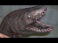 10 Creepiest Animals Loved By Science