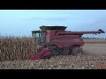 3,000 Acre Corn Field Harvested by CASE IH 9250 Combines