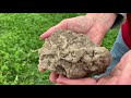 Soil School: What makes a healthy soil?