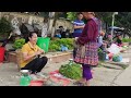 Harvesting Pumpkins Goes to market sell - Daily Life | Lý Tiểu Anh