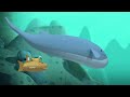 Octonauts - Snapping Shrimp and The Mixed-Up Whales | Cartoons for Kids | Underwater Sea Education