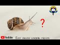 Insects name english language || कीड़े मकोड़े के नाम || Insect Name || Easy English Learning process