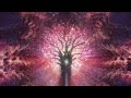 Liquid Bloom & Poranguí - Heart of the Mother (Dillard Remix)