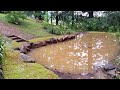 Permaculture Inspired Ponds & Swales 2