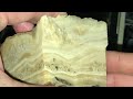 New Series: Cutting Stromatolite