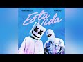 Marshmello, Farruko - Esta Vida (Official audio)