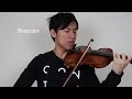 10 Reasons Why Violin is the Hardest Instrument