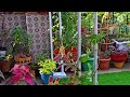 PVC pipe Garden Arch DIY / Mere garden ke liye ye gift mila hai mere taraf se ... 😀