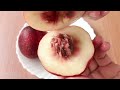 桃子發芽5大訣竅-2023 | 5 tips for sprouting peaches-2023