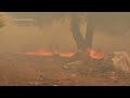 Major wildfire rages on fringes of Greek capital; firefighters deployed