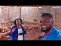 She Quit Her Professional Career To Do Poultry Farming & Now Earns Millions In Uganda 🇺🇬