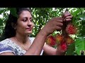 A buddy who cures hearts | Gambooge | Poorna - The nature girl |