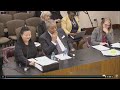 Fani Willis investigation Georgia Senate hearing | Part 4