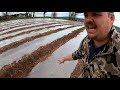 RETURNING TO THIS AWESOME SWEET CORN PLANTING METHOD