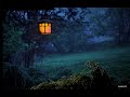 Insomnia solution - Cozy sounds of the night#insomnia #naturalsound