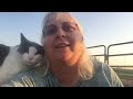 Hershey the bottle calf,  with me and my cat Carol