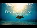 Emotional House 2024 - Vol 9 | Adam Port, Ben Bömer, Michael Canitrot & Lynnic