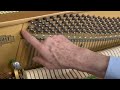 Piano tuning and tech. tips: 1. Putting unisons in tune. Stability + setting the pins