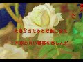 早朝から日の出までの白い薔薇