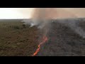 Devastating wildfires ravage Brazil's Pantanal wetlands | AFP
