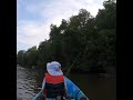 Kayaking Broad Creek MD