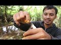 very easy fishing for Kissing gourami using a float