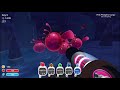 ancient ruins, slimie posągi i quantum slime - slime rancher 8