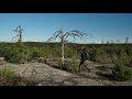 Hiking alone in Tyresta national park (Sweden)