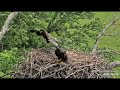 DECORAH NORTH BALD EAGLES:  HEADS UP, WINGS UP, TALONS UP