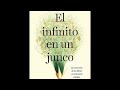 Audiolibro - El infinito en un junco - Irene Vallejo - 22
