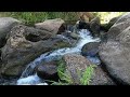 옹기종기 자리한 바위들, 맑은 물소리, 녹색 풀 수풀, 물멍 핫플레이스, Clustered rocks, clear sound of water, hot spot of water