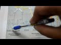 Pentose Phosphate Pathway (HMP Shunt) in English #Biochemistry #Lippincott #Medicine #CarbMetabolism