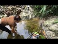 Catching Turtles In The Stream Go To Countryside Market Sell - Harvesting A Lot Of Snails