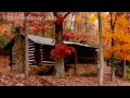 Autumn Wind Sounds : 2 Hour Long Relaxing Nature Sounds for Sleep