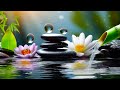 Relaxing music Relieves stress, Anxiety and Depression 🌿 Heals the Mind, body and Soul 🌿 Deep Sleep
