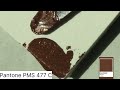 How to mix 8 shades of brown? | Colourmixing Tutorial | Acrylic Colour mixing | Arttips|