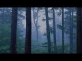 Fast Deep Sleep on Rainy Day | Relaxing Heavy Rain Sounds on Quiet Foreat Park | White Noise