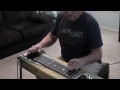 I'll Fly Away Steel Guitar by Zane King