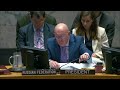Gaza: Humanitarian Situation - Security Council meeting | United Nations