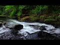 4 HOURS - White Noise for Sleeping, Mountain Stream Nature Sounds-Forest Sounds Relaxation