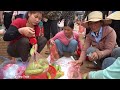 Harvest Bitter Melon Goes To Market Sell - Cooking Bitter Melon With Meat | Tieu Toan New Life
