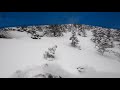 Tree Riding in Wyoming | Ski Doo Turbo 21' |