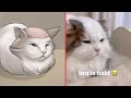 Cat Memes: All Smiling Critters from Poppy Playtime