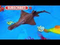 SEA ANIMALS FOR TODDLERS: BLUE CRAB, LEAFY SEA DRAGON, MANTA RAY, SAILFISH, SEAHORSE, AND OTHERS