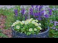 Front Garden 4 Year Timelapse! Tampa zone 9b #gardenmakeover #diy #gardening #zone9b